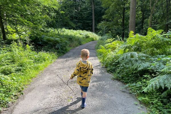 Child walking through the woods on holiday