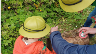 Child looking for insects in the grass