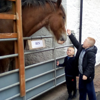 Two children pet a horse as it looks out of its stable at animal farm on holiday.