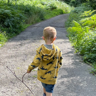 A young boy in a bright yellow hoodie is walking along a gravel path with a stick in his hand. Either side of him are tall, leafy ferns as he explores the outdoors on holiday.