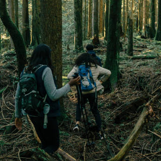 Family hiking in the woods, they have full kit with backpacks and hiking shoes, as they hike away from the camera.